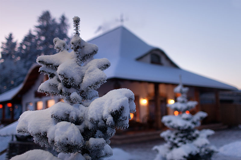 Home covered in snow