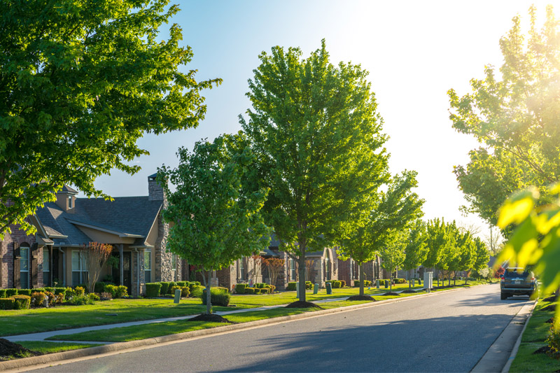 View of houses lining a residential street with green trees